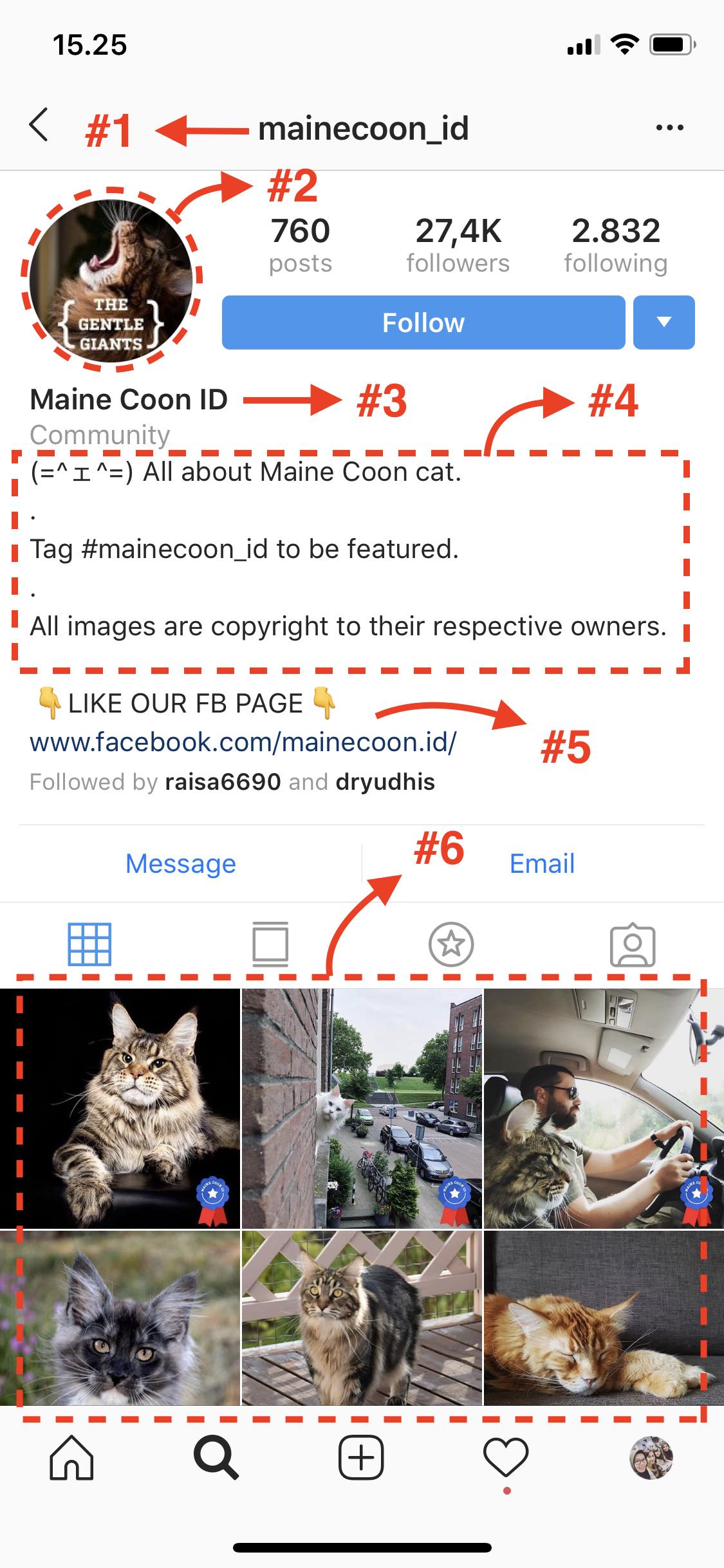 6 Cara Memaksimalkan Profile Instagram Agar Di Follow ...